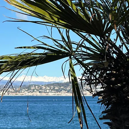 Vue Sur La Baie De Cannes Piscine Randonnee Au Pied De L Esterel Cezanne *